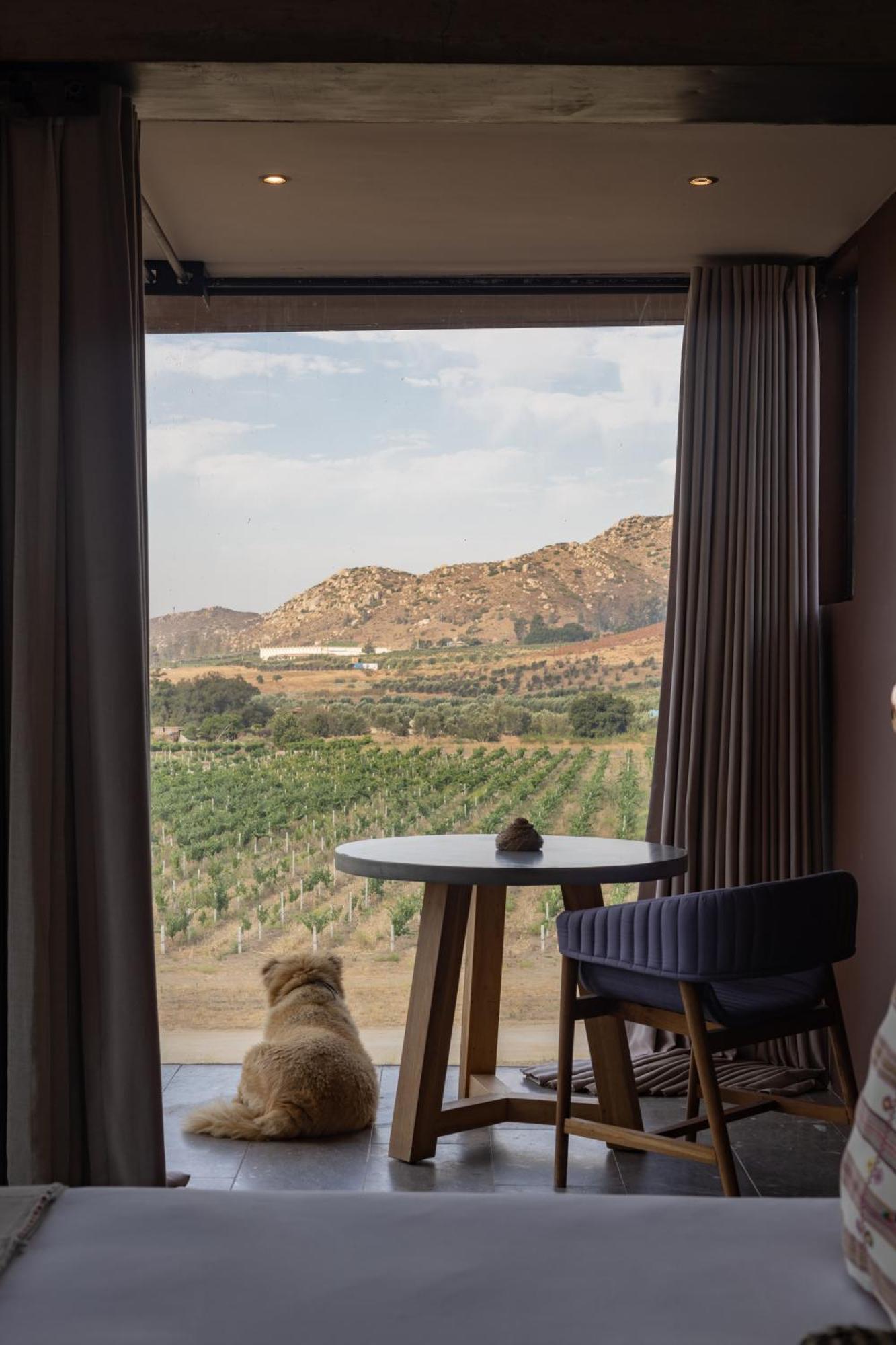 Bruma Wine Resort فالي دي جوادالوبي المظهر الخارجي الصورة