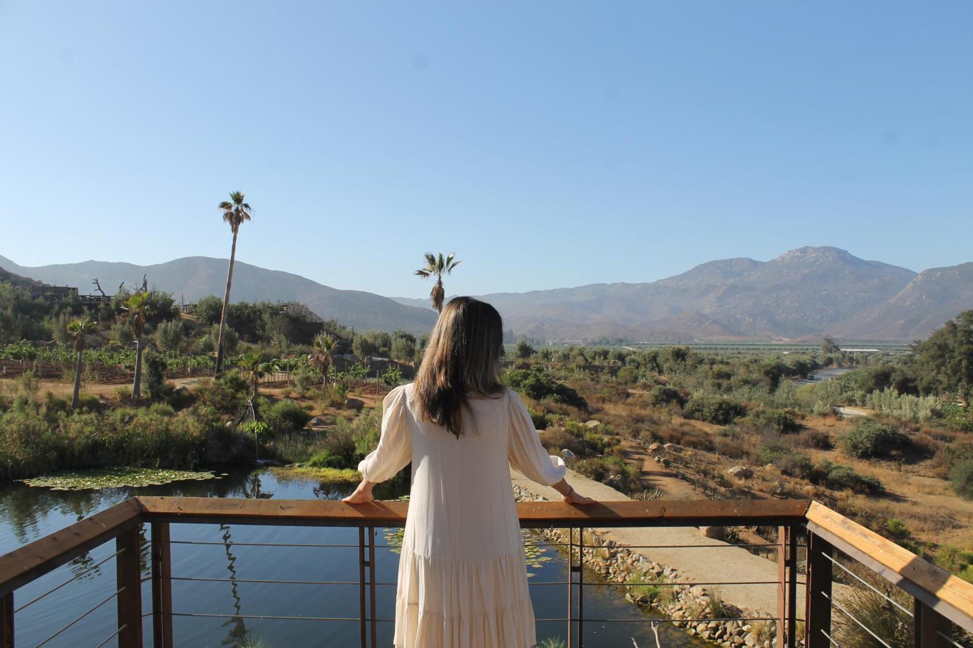 Bruma Wine Resort فالي دي جوادالوبي المظهر الخارجي الصورة
