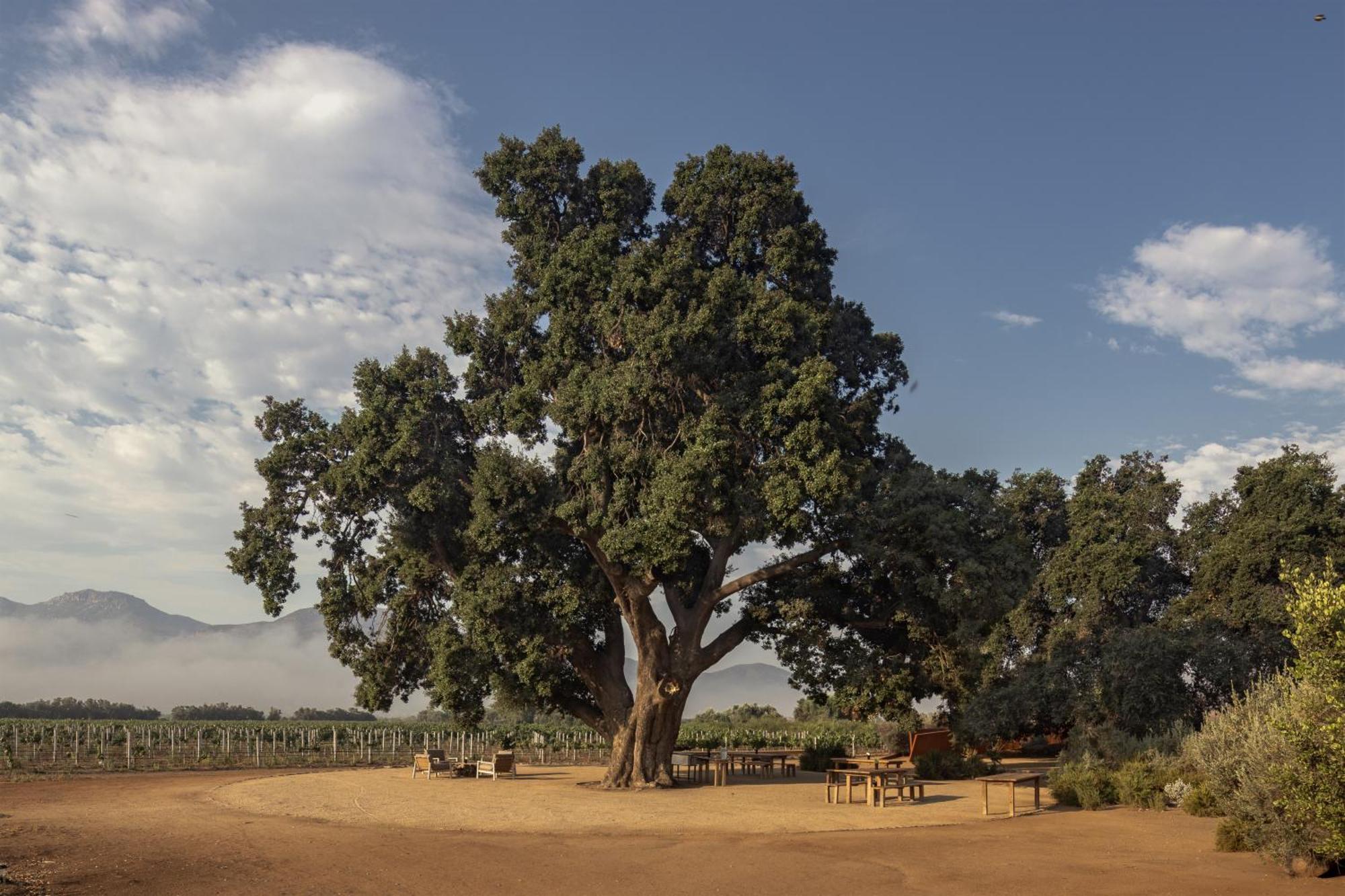 Bruma Wine Resort فالي دي جوادالوبي المظهر الخارجي الصورة