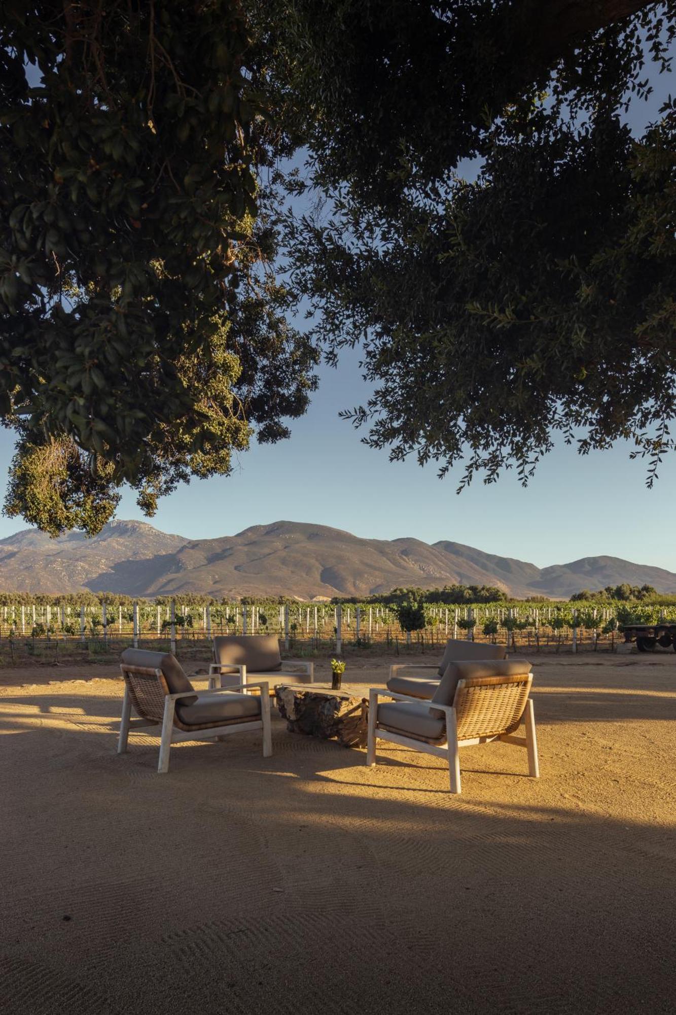Bruma Wine Resort فالي دي جوادالوبي المظهر الخارجي الصورة