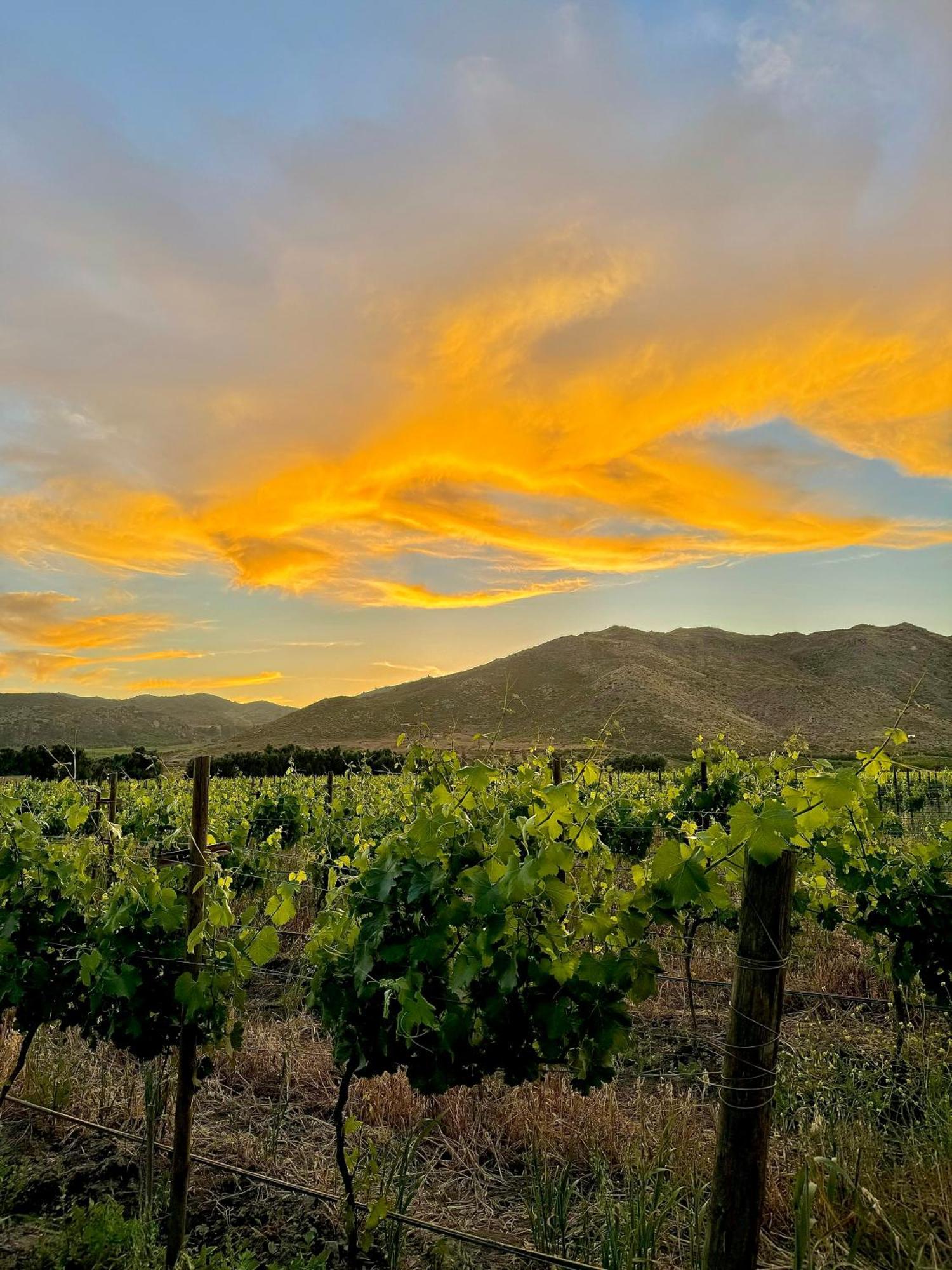 Bruma Wine Resort فالي دي جوادالوبي المظهر الخارجي الصورة